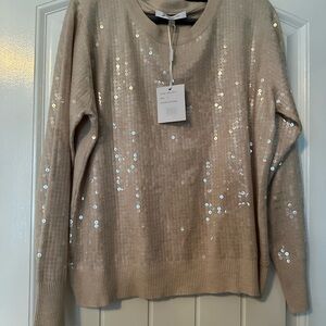 Sioni Beige Sequin Sweater